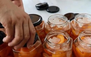手工制作糖渍黄杏的秘诀（口感绵软、清甜可口，让你爱不释手）