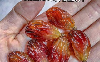 如何正确洗葡萄（不同场合洗葡萄的技巧和注意事项）