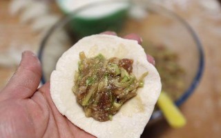 以西葫芦水饺为主角的美味佳肴（传统中式饺子与西葫芦的完美结合）