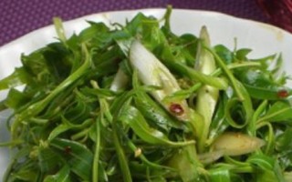 探秘拌柳芽的美味做法（走进春天的餐桌鲜美无比的柳芽拌餐）
