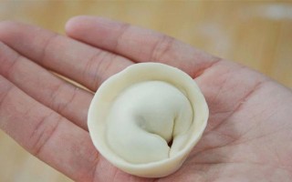 四种饺子包法，一次学会！（四种不同包法，让你轻松打造完美饺子宴！）