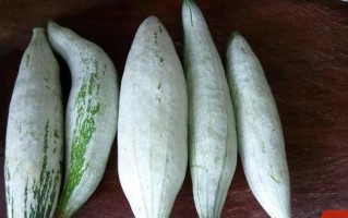 以素炒蛇瓜——简单易学的素菜做法（健康营养，清爽可口，蛇瓜芳香，素食佳品）
