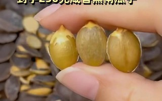 口感香脆，营养丰富——炒南瓜子的制作方法