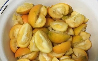 无糖金桔酱——健康生活的首选（天然、营养、美味，做自己的厨房大厨）