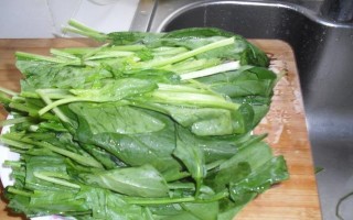 虾皮菠菜的美味做法（享受简单又营养的绿色美食）