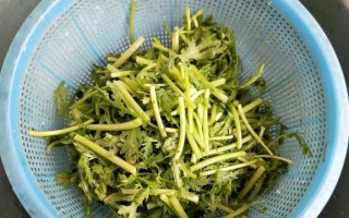 蒜香茼蒿的美食做法（新鲜茼蒿搭配蒜香，营养美味双丰收）