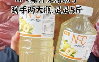 手动榨梨汁，健康生活的选择（以自然的方式呵护身体，提供自然纯粹的美味）