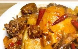 蒜蓉芸豆丝烩烤鸭（清香四溢，鲜嫩可口的美食佳品）