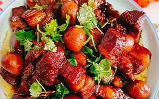 在家自制红烧肉大全（15个菜谱，让你做出口感绝佳的红烧肉）