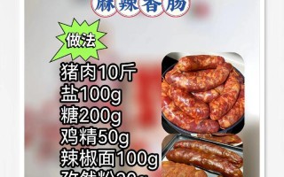 手工自制肉肠做法详解（掌握技巧，制作美味的自制肉肠）