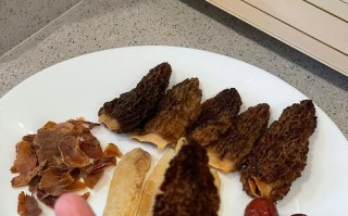 美味排骨煲的制作方法（以什菌的独特风味带来健康美味）