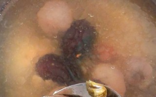享用美味健康的石斛猪骨汤（以传统中草药为基础的美食，拥有多重保健功效）