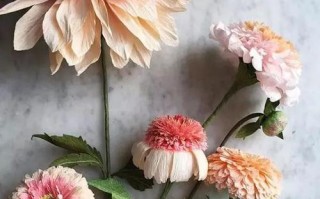 以生如夏花为主题的养生做法（以花养生，活得有味）
