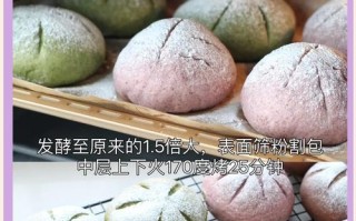 全麦红糖红枣软欧面包的做法（打造健康美味，尝尽天然好滋味）