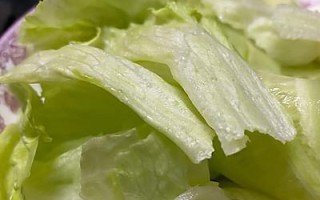 轻享春日美味，慢嚼健康生活（以贴心春色沙拉为主题的健康食谱）