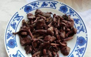 摘蘑菇的妙招（掌握这些技巧，让你轻松摘到美味的蘑菇）