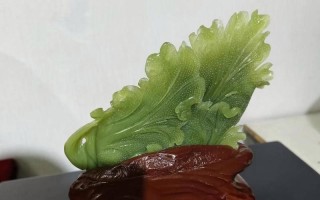 以人人遇百财的做法，让你实现财富自由（打造成功的理财计划，让你的钱生钱）