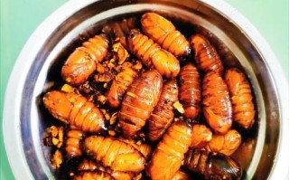 炸柞蚕蛹，美味佳肴（以新鲜柞蚕蛹为原料，炸出美味佳肴，口感鲜香，别有风味。）