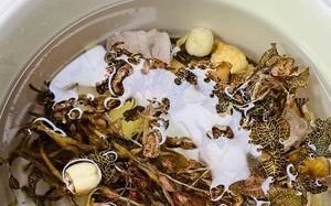 夏日靓汤狗肝菜瘦肉汤，清热解暑养生佳品（夏日必备，营养美味，狗肝菜瘦肉汤的做法与功效）