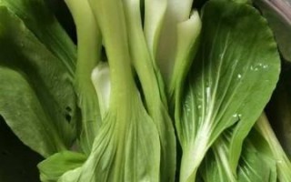 时尚妈妈教你做凉拌小油菜（简单易学，口感清爽，让你成为餐桌上的焦点）