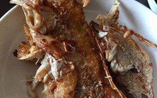 如何香煎美味的小嘴鱼（学习制作小嘴鱼的技巧和诀窍，享受健康美味的海鲜佳肴。）