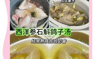 新开河参炖鸽子——养生佳肴（传统名菜的制作与特点）