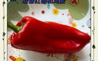 四季豆红椒炒鸡蛋，营养美味好滋味（家常菜谱，快速上手，简单易学）