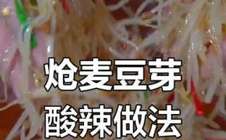 爆炒酸辣绿豆芽，清爽解暑必备（让你在家也能享受饭店级别的美食）
