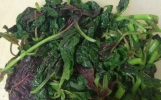 用苋菜汁儿包的鲜美水饺（健康美味的家常小吃/苋菜汁儿水饺）