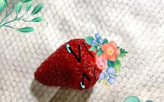 如何自制美味草莓酒（15步教你轻松制作）