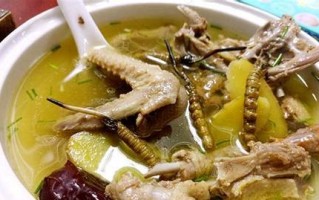 尾草鸡汤，滋补养生的佳肴（传统家常菜，美味又养生；如何制作一碗营养丰富的尾草鸡汤？）