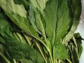 野菜猪肉盒子饼的制作方法（健康营养，美味可口的自制盒子饼）