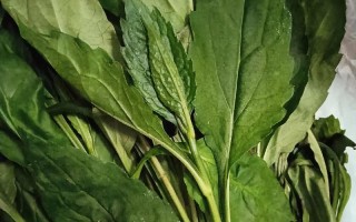 野菜猪肉盒子饼的制作方法（健康营养，美味可口的自制盒子饼）