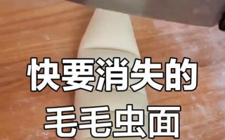美味可口的蒸毛毛虫（独特的蒸毛毛虫做法，让你大开眼界）