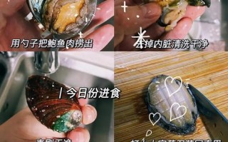 健康美味，鲍汁蒜蓉生菜的制作方法！（美食佳肴，让你爱上健康饮食！）