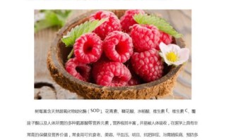做法揭秘！鲜榨草莓奶昔，清新爽口！（草莓风味浓郁，助你畅快消暑；健康营养，引领饮食新潮流！）