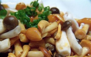 美味草菇烩豆腐，家常好滋味（简单易学的做法让你在家也能享受饕餮盛宴）