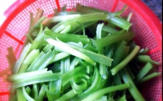 蒜蓉南瓜叶的做法（清爽绿色营养，美味易做！）