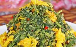 榆钱玉米饼炒肉丁的美食烹饪之道（精选榆钱玉米饼，搭配炒肉丁，口感绝佳）
