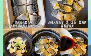 以味增青花鱼饭为主的美味做法（轻松学会味增青花鱼饭的制作方法）
