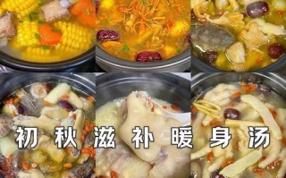 健康又美味的养生排骨玉米汤（以玉米为主料制作，融合多种食材的营养之汤）