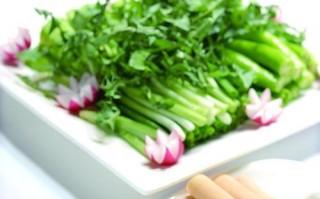 享受清淡美味，素卷三丝蘸酱菜的制作方法（用新鲜素材制作，健康美食来一份！）