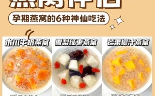 原味燕窝的制作方法及功效（掌握原味燕窝的制作技巧，享受健康美味）