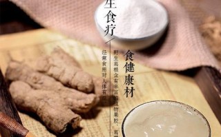享受健康味蕾，一杯养生葛粉羹！（掌握做法轻松实现自我养生）