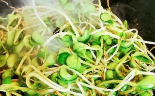 美味健康的香卤豆皮拌豆苗（多样搭配，美食不止一道；健康滋补，养生保健两不误）