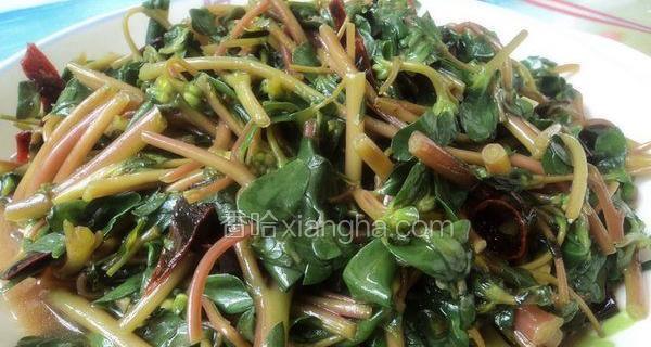 蒜蓉马齿苋的家常做法（清热解毒、美味可口的健康菜谱）-第3张图片-美味行家