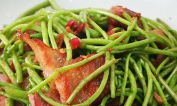 野生藜蒿炒腊肉，口感独特的美食享受（从采摘到烹饪，了解这道美食的全部过程）-第3张图片-美味行家
