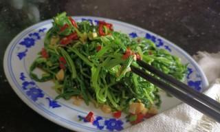 如何制作美味小炒萝卜苗（简单易学的小炒萝卜苗做法，口感鲜美，健康营养）-第1张图片-美味行家