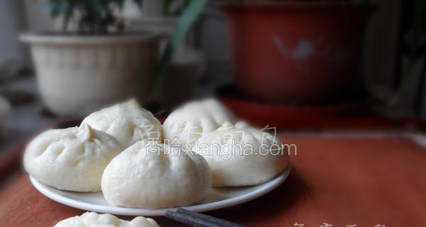 快手做法（香气四溢的美味包子）-第2张图片-美味行家