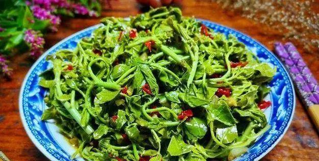 香酥花椒芽的制作方法（让你爱不释口的美味小吃）-第1张图片-美味行家